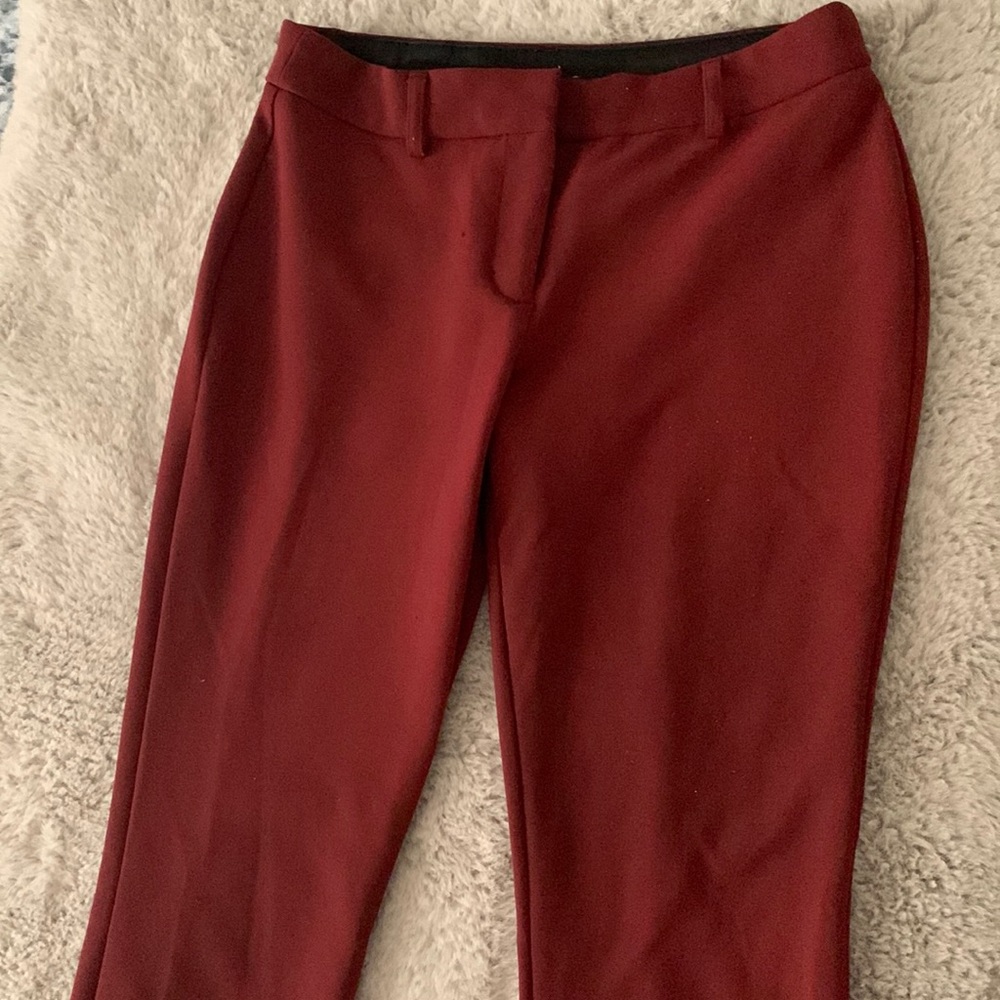 Express Stretch Pants